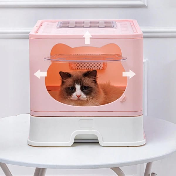 Baño para Gato