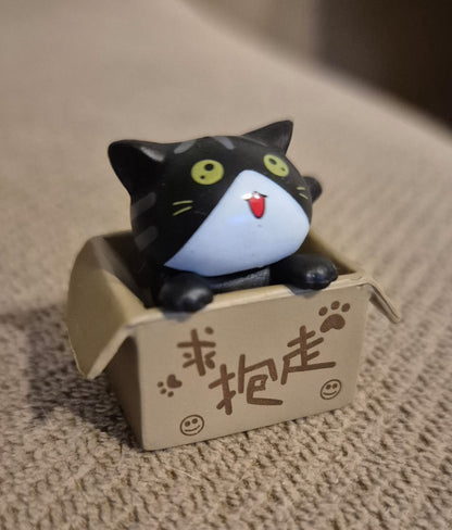 Imán de Gato